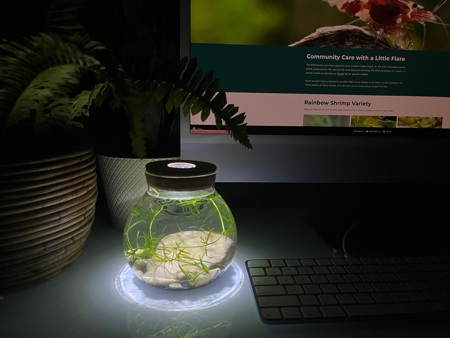 Bubble Orb
